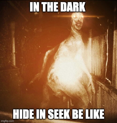 How I see | IN THE DARK; HIDE IN SEEK BE LIKE | image tagged in scp | made w/ Imgflip meme maker