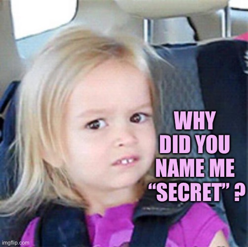 Confused Little Girl | WHY DID YOU NAME ME
 “SECRET” ? | image tagged in confused little girl | made w/ Imgflip meme maker