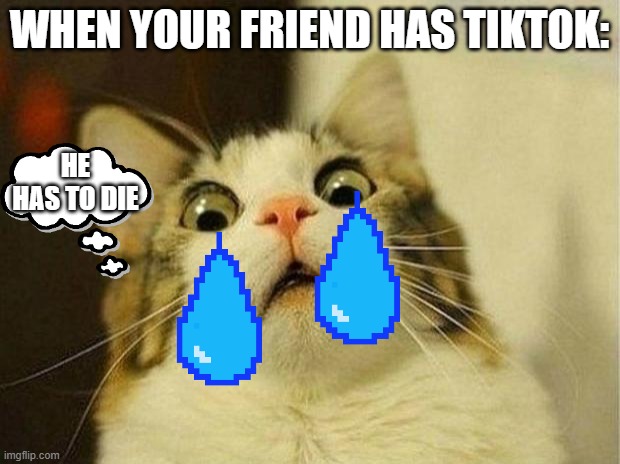 He has to die | WHEN YOUR FRIEND HAS TIKTOK:; HE HAS TO DIE | image tagged in memes,scared cat | made w/ Imgflip meme maker