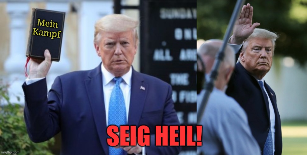 Heil Trump | Mein
Kampf; SEIG HEIL! | image tagged in donald trump | made w/ Imgflip meme maker