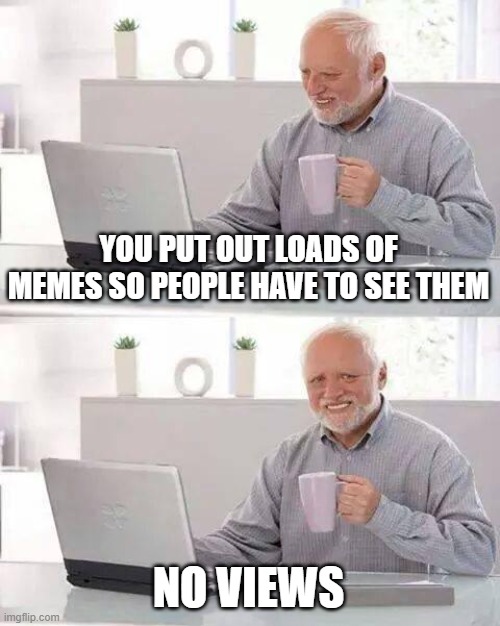 Hide the Pain Harold Meme | YOU PUT OUT LOADS OF MEMES SO PEOPLE HAVE TO SEE THEM NO VIEWS | image tagged in memes,hide the pain harold | made w/ Imgflip meme maker
