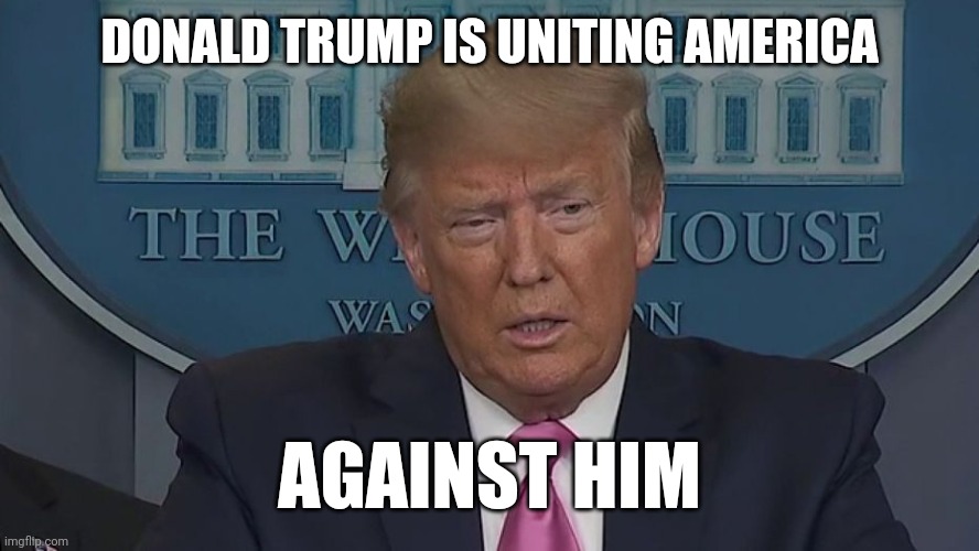 If Only You Knew How Bad Things Really Are | DONALD TRUMP IS UNITING AMERICA; AGAINST HIM | image tagged in if only you knew how bad things really are | made w/ Imgflip meme maker