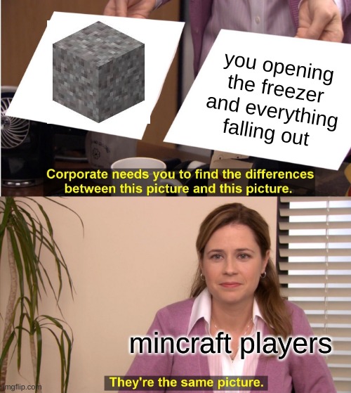 minecraft in a nutshell | you opening the freezer and everything falling out; mincraft players | image tagged in memes,they're the same picture,relatable | made w/ Imgflip meme maker