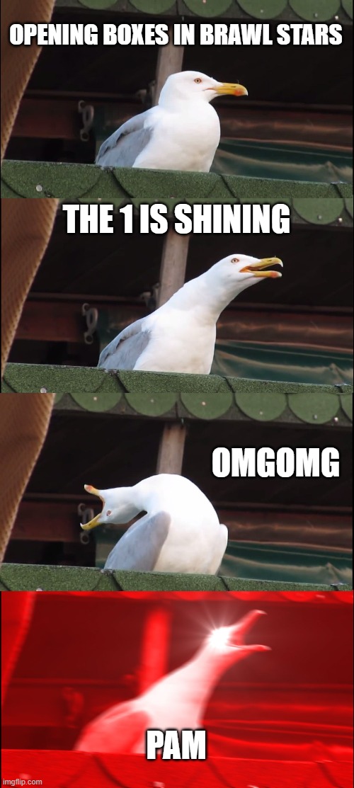 Inhaling Seagull Meme | OPENING BOXES IN BRAWL STARS; THE 1 IS SHINING; OMGOMG; PAM | image tagged in memes,inhaling seagull | made w/ Imgflip meme maker
