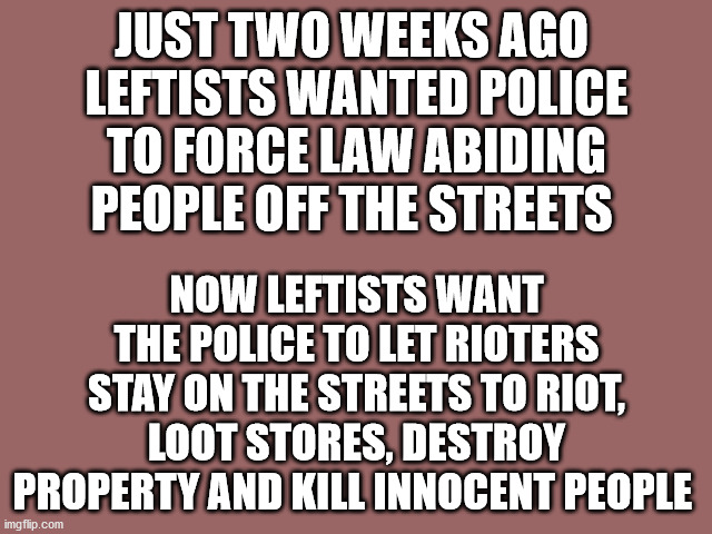 Mauve solid color | JUST TWO WEEKS AGO 
LEFTISTS WANTED POLICE TO FORCE LAW ABIDING PEOPLE OFF THE STREETS; NOW LEFTISTS WANT THE POLICE TO LET RIOTERS STAY ON THE STREETS TO RIOT, LOOT STORES, DESTROY PROPERTY AND KILL INNOCENT PEOPLE | image tagged in mauve solid color,irony hypocrisy | made w/ Imgflip meme maker