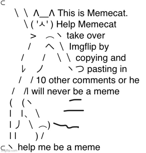 High Quality Meme cat Blank Meme Template