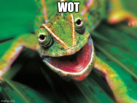 Lizard wot | WOT | image tagged in lizard wot | made w/ Imgflip meme maker