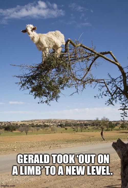 GERALD TOOK ‘OUT ON A LIMB’ TO A NEW LEVEL. | made w/ Imgflip meme maker