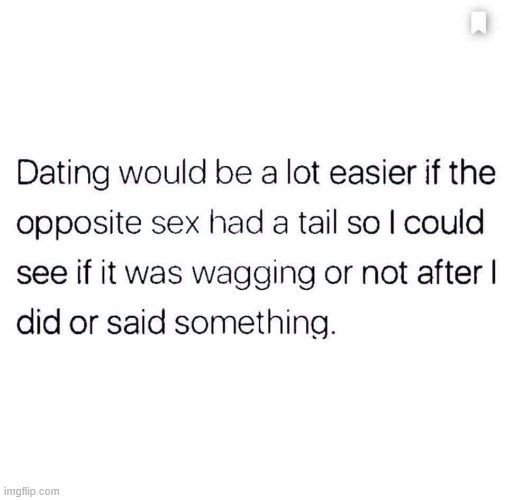 Wouldn't it tho? | image tagged in dating sucks,dating,funny,repost,relationships,relationship | made w/ Imgflip meme maker