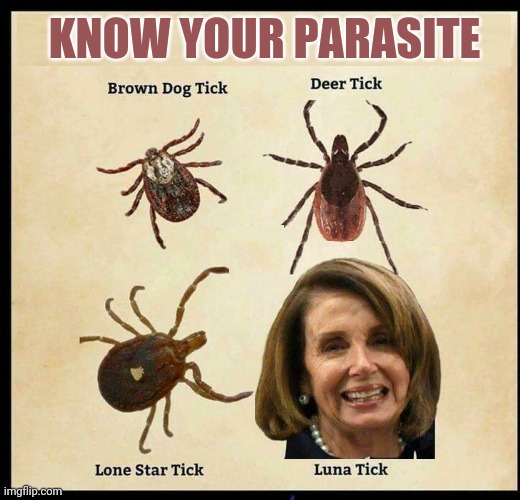 Know Your Parasite - Imgflip