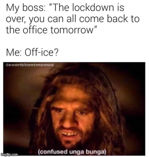 We're at "Phase II reopening" ourselves... still voluntary tho lol so guess who's not going | image tagged in repost,work sucks,office,work from home,covid-19,lockdown | made w/ Imgflip meme maker