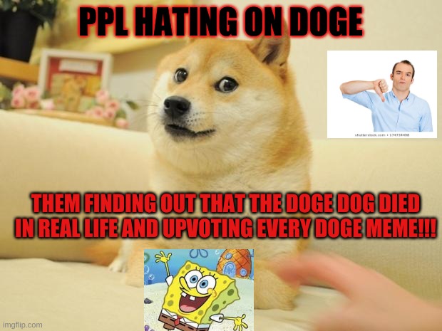 Doge 2 Meme | PPL HATING ON DOGE; THEM FINDING OUT THAT THE DOGE DOG DIED IN REAL LIFE AND UPVOTING EVERY DOGE MEME!!! | image tagged in memes,doge 2 | made w/ Imgflip meme maker