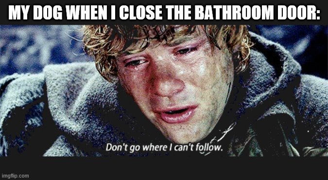 true dat | MY DOG WHEN I CLOSE THE BATHROOM DOOR: | image tagged in dont go where i cant follow,cool | made w/ Imgflip meme maker