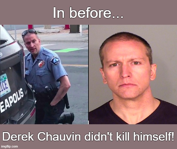 Oh, NO he dint! | In before... Derek Chauvin didn't kill himself! | image tagged in derek chauvin | made w/ Imgflip meme maker