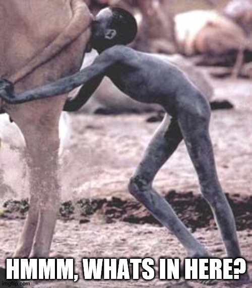 hahahahaaaa | HMMM, WHATS IN HERE? | image tagged in black people weird af bruh,cool | made w/ Imgflip meme maker
