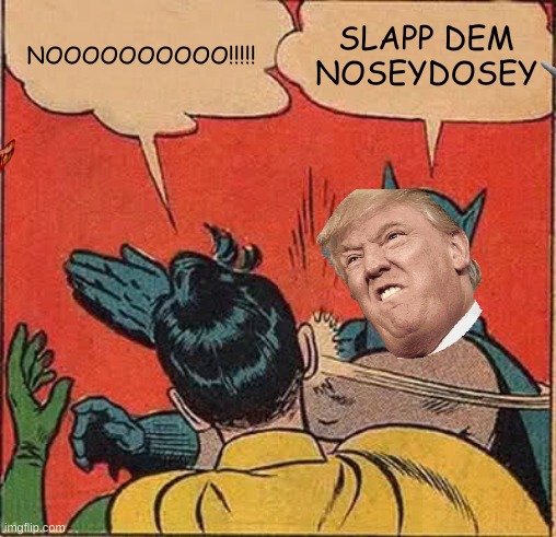 Slap dem nosey | NOOOOOOOOOO!!!!! SLAPP DEM NOSEYDOSEY | image tagged in memes,batman slapping robin | made w/ Imgflip meme maker