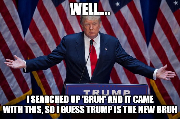 i dont understand | WELL…. I SEARCHED UP 'BRUH' AND IT CAME WITH THIS, SO I GUESS TRUMP IS THE NEW BRUH | image tagged in donald trump,cool | made w/ Imgflip meme maker