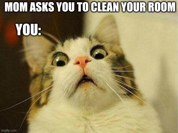 Scared Cat | MOM ASKS YOU TO CLEAN YOUR ROOM; YOU: | image tagged in memes,scared cat | made w/ Imgflip meme maker
