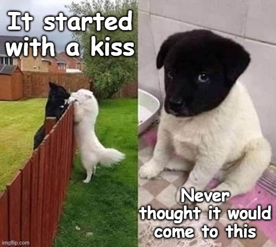 Kiss | It started with a kiss; Never thought it would come to this | image tagged in kiss,dog,funny | made w/ Imgflip meme maker