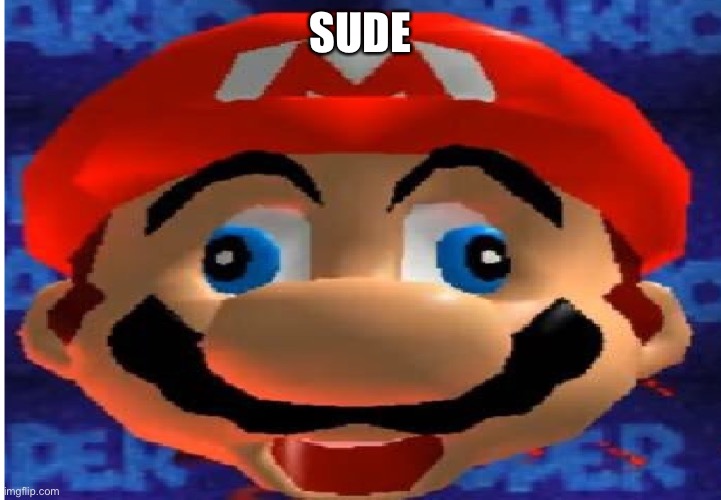 Mario, Dude... | DUDE | image tagged in mario dude | made w/ Imgflip meme maker