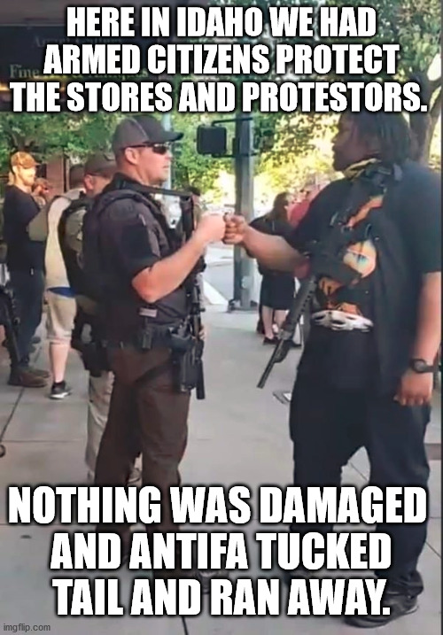 Peaceful members of Black Lives Matter showed up but the rioters tucked their tails and ran. | HERE IN IDAHO WE HAD ARMED CITIZENS PROTECT THE STORES AND PROTESTORS. NOTHING WAS DAMAGED 
AND ANTIFA TUCKED TAIL AND RAN AWAY. | image tagged in guns,protection,blm,antifa | made w/ Imgflip meme maker