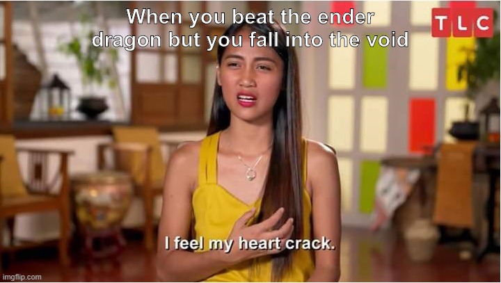 i feel my heart crack | When you beat the ender dragon but you fall into the void | image tagged in i feel my heart crack | made w/ Imgflip meme maker