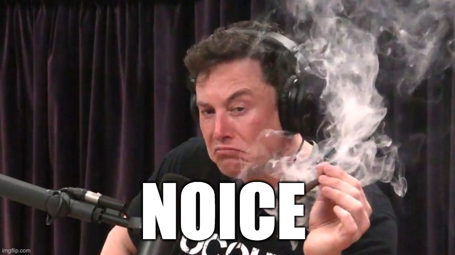 NOICE | NOICE | image tagged in elon musk,memes | made w/ Imgflip meme maker