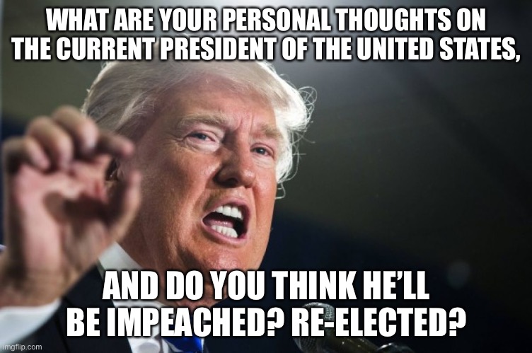 donald trump | WHAT ARE YOUR PERSONAL THOUGHTS ON THE CURRENT PRESIDENT OF THE UNITED STATES, AND DO YOU THINK HE’LL BE IMPEACHED? RE-ELECTED? | image tagged in donald trump | made w/ Imgflip meme maker