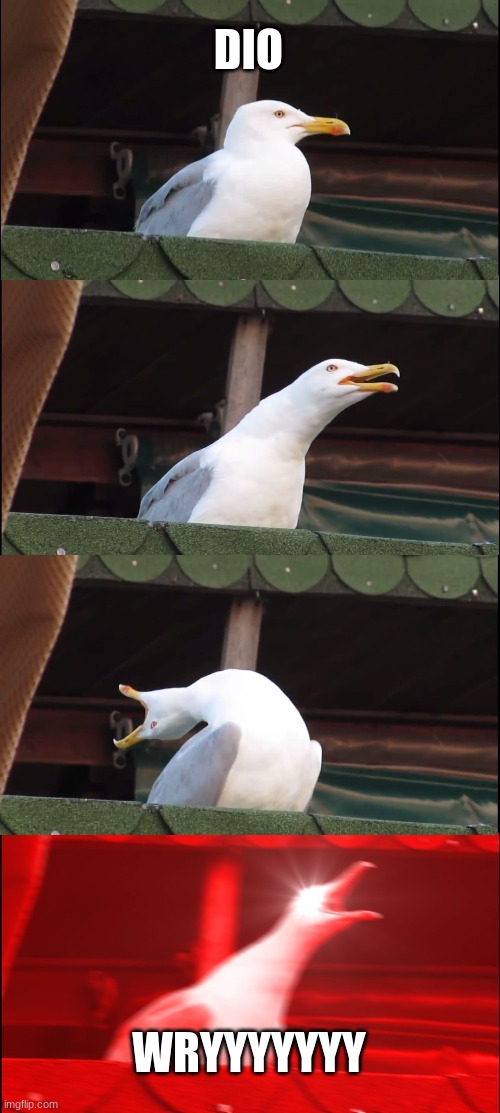 Inhaling Seagull | DIO; WRYYYYYYY | image tagged in memes,inhaling seagull | made w/ Imgflip meme maker