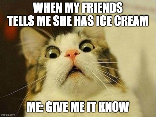 Scared Cat Meme | WHEN MY FRIENDS TELLS ME SHE HAS ICE CREAM; ME: GIVE ME IT KNOW | image tagged in memes,scared cat | made w/ Imgflip meme maker