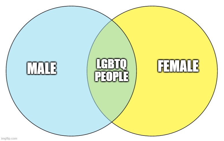 Blue green Venn diagram | MALE FEMALE LGBTQ PEOPLE | image tagged in blue green venn diagram | made w/ Imgflip meme maker
