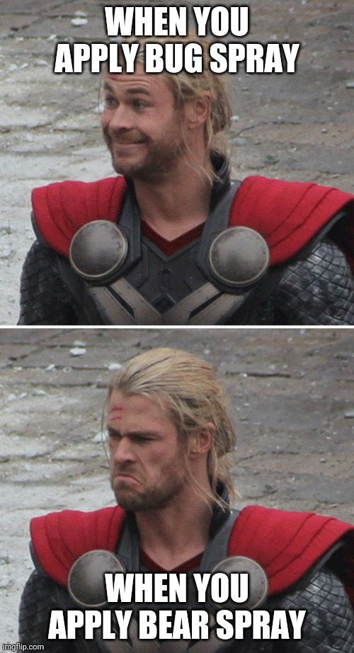 Thor happy then sad | WHEN YOU APPLY BUG SPRAY; WHEN YOU APPLY BEAR SPRAY | image tagged in thor happy then sad | made w/ Imgflip meme maker