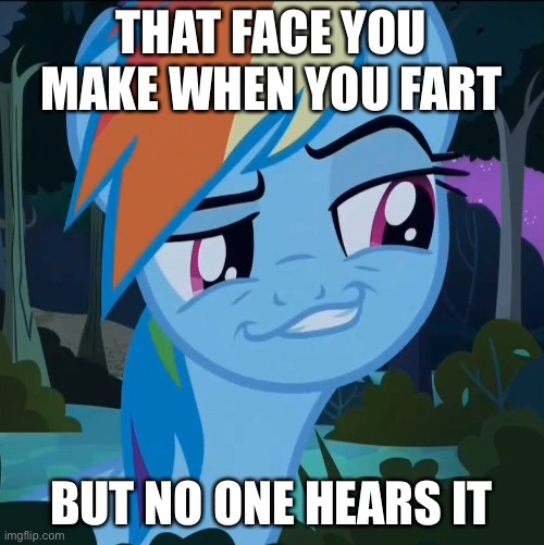 That face you make when you fart | THAT FACE YOU MAKE WHEN YOU FART; BUT NO ONE HEARS IT | image tagged in mlp,fart | made w/ Imgflip meme maker