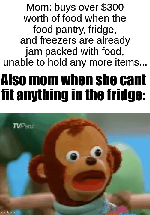 Mom Logic: | Mom: buys over $300 worth of food when the food pantry, fridge, and freezers are already jam packed with food, unable to hold any more items... Also mom when she cant fit anything in the fridge: | image tagged in blank white template,monkey puppet,moms | made w/ Imgflip meme maker