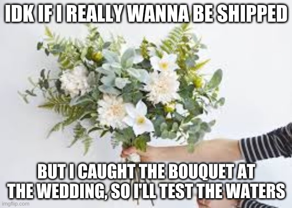 Just testing the waters. To my friends: THIS DOESN'T MEAN ANYTHING | IDK IF I REALLY WANNA BE SHIPPED; BUT I CAUGHT THE BOUQUET AT THE WEDDING, SO I'LL TEST THE WATERS | image tagged in bouquet,maybe,btw im seventeen,in imgflip age,and im a girl,ye | made w/ Imgflip meme maker