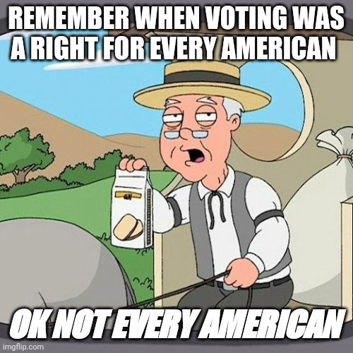 Pepperidge Farm Remembers Meme | REMEMBER WHEN VOTING WAS A RIGHT FOR EVERY AMERICAN; OK NOT EVERY AMERICAN | image tagged in memes,pepperidge farm remembers | made w/ Imgflip meme maker