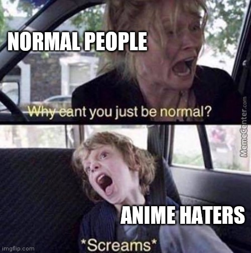 Why Can't You Just Be Normal | NORMAL PEOPLE; ANIME HATERS | image tagged in why can't you just be normal | made w/ Imgflip meme maker
