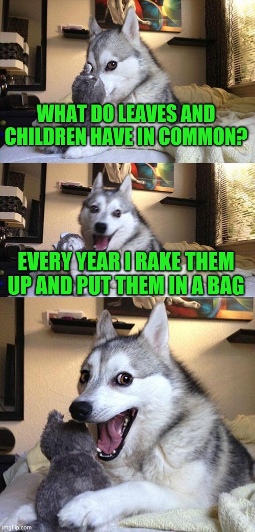 Hehehe | WHAT DO LEAVES AND CHILDREN HAVE IN COMMON? EVERY YEAR I RAKE THEM UP AND PUT THEM IN A BAG | image tagged in memes,bad pun dog | made w/ Imgflip meme maker