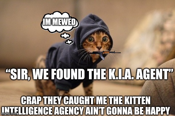 Hoody Cat Meme | IM MEWED; “SIR, WE FOUND THE K.I.A. AGENT”; CRAP THEY CAUGHT ME THE KITTEN INTELLIGENCE AGENCY AIN’T GONNA BE HAPPY | image tagged in memes,hoody cat | made w/ Imgflip meme maker