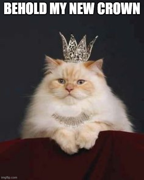 220000 points achieved | BEHOLD MY NEW CROWN | image tagged in cat crown | made w/ Imgflip meme maker