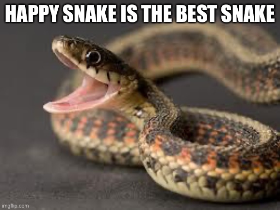 True | HAPPY SNAKE IS THE BEST SNAKE | image tagged in warning snake | made w/ Imgflip meme maker