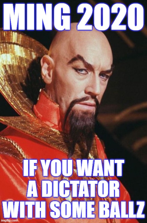 Ming 2020 - Ballz | MING 2020; IF YOU WANT A DICTATOR WITH SOME BALLZ | image tagged in ming the merciless,memes,max von sydow,2020 | made w/ Imgflip meme maker