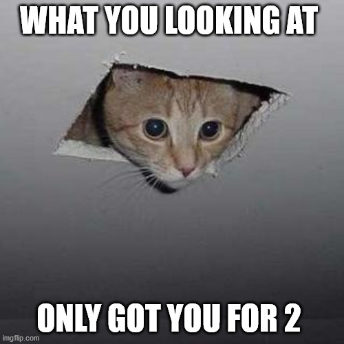 Ceiling Cat | WHAT YOU LOOKING AT; ONLY GOT YOU FOR 2 | image tagged in memes,ceiling cat | made w/ Imgflip meme maker