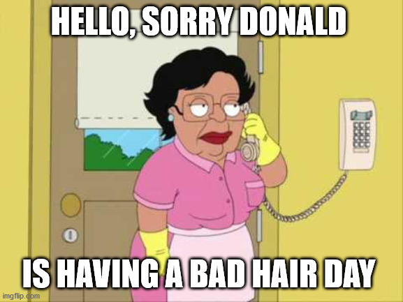 Consuela | HELLO, SORRY DONALD; IS HAVING A BAD HAIR DAY | image tagged in memes,consuela | made w/ Imgflip meme maker