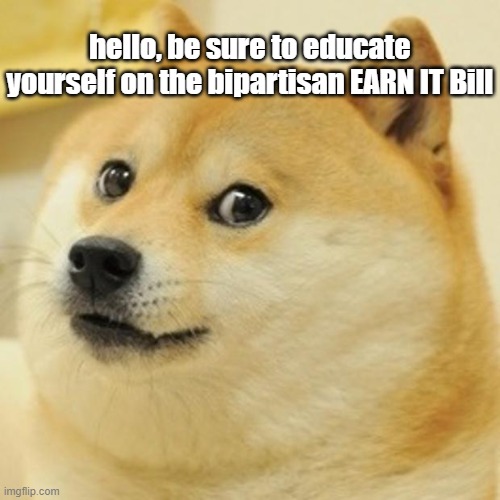 it's pretty cool. if youre that guy from that one thing that said how do you do fellow kids!!!! | hello, be sure to educate yourself on the bipartisan EARN IT Bill | image tagged in memes,doge,earn it,bad bill,privacy,freedom of speech | made w/ Imgflip meme maker