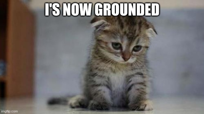 Sad kitten | I'S NOW GROUNDED | image tagged in sad kitten | made w/ Imgflip meme maker