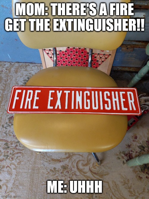 MOM: THERE'S A FIRE GET THE EXTINGUISHER!! ME: UHHH | image tagged in funny | made w/ Imgflip meme maker