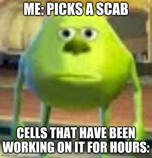 My Memes Are SUCC | ME: PICKS A SCAB; CELLS THAT HAVE BEEN WORKING ON IT FOR HOURS: | image tagged in sully wazowski | made w/ Imgflip meme maker