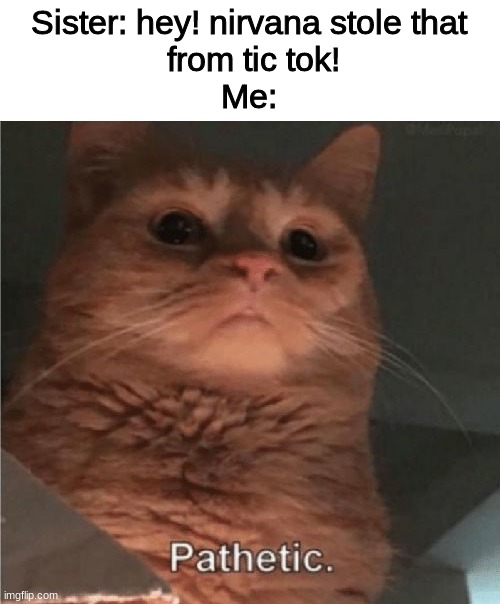 Bruh, tik tok stole smells like teen spirit | Sister: hey! nirvana stole that
 from tic tok!
Me: | image tagged in pathetic cat | made w/ Imgflip meme maker