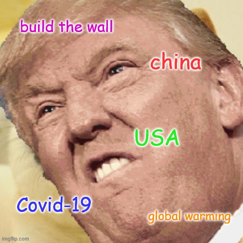 build the wall; china; USA; Covid-19; global warming | image tagged in donald trump | made w/ Imgflip meme maker